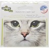 Sticker CB Chat - Upper&Co