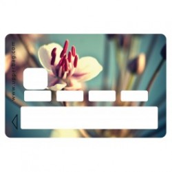 Sticker CB Flower Cerisier...