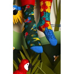 Chaussettes dépareillées PARADISE PARROT - Many Mornings