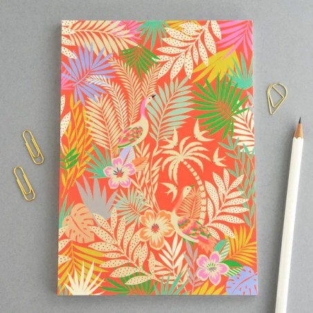 Carnets colorés - Elvira van Vredenburgh Designs - Achat en ligne - Jaines