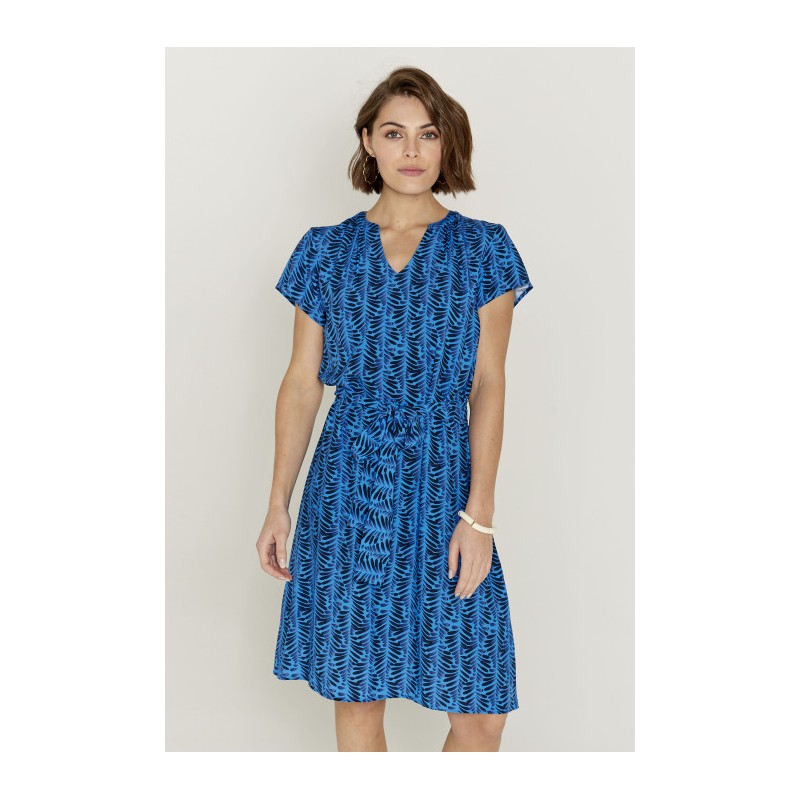 Robe Pacific DR178 - Diplodocus