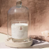 Cloche en Verre - L'Atelier C - Achat en ligne - Jaines