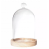 Cloche en Verre - L'Atelier C - Achat en ligne - Jaines
