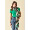 Foulard Noir DFO071 - Diplodocus