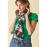 Foulard Noir DFO071 - Diplodocus