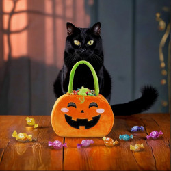 Sac pour « un bonbon ou un sort » - Trick or Treat- Legami- Achat en ligne - Jaines