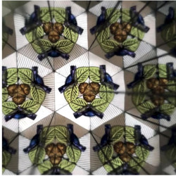 Kaléidoscope- Legami - Achat en ligne - Jaines