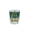 Bougie Parfumée Noël Forêt de Sapin 75g - Collines de Provence