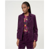 Blazer velours Prune NEPA321 - Surkana - Achat en ligne - Jaines