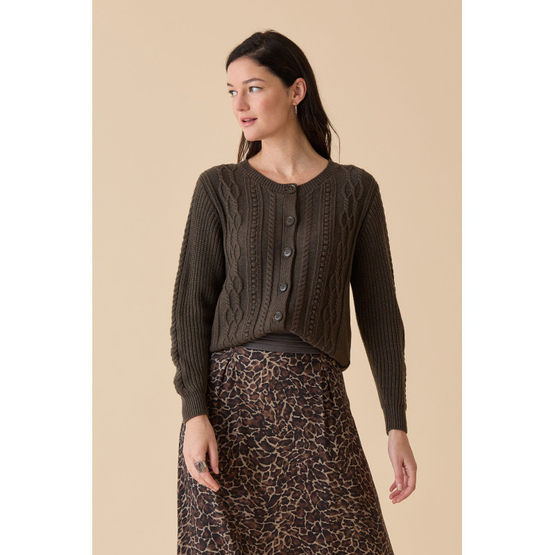 CARDIGAN DP274- Diplodocus