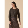 CARDIGAN DP274- Diplodocus
