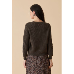 CARDIGAN DP274- Diplodocus