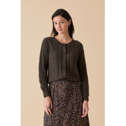 CARDIGAN DP274- Diplodocus