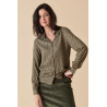 CHEMISE DCHL182 - Diplodocus