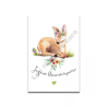 Carte Aquarelle JOYEUX ANNIVERSAIRE DAIM- Les rêves de Caro