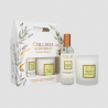 Coffret Bougie 180g & Parfum d'intérieur - Bergamote Fraîche - Collines de Provence