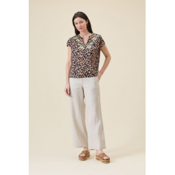 TOP MAREVA DTOP023- Diplodocus