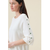 PULL BOUTONS DP293 - Diplodocus