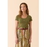 T-SHIRT MULTICO Kaki DTS225 - Diplodocus