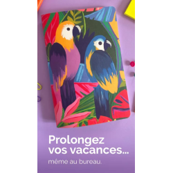 Carnet - Les Perroquets - HELLO COULEUR