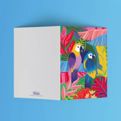 Carte Perroquets tropicaux - HELLO COULEUR