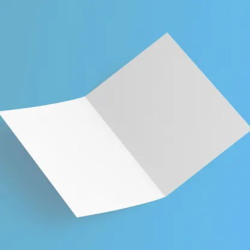 Carte Perroquets tropicaux - HELLO COULEUR