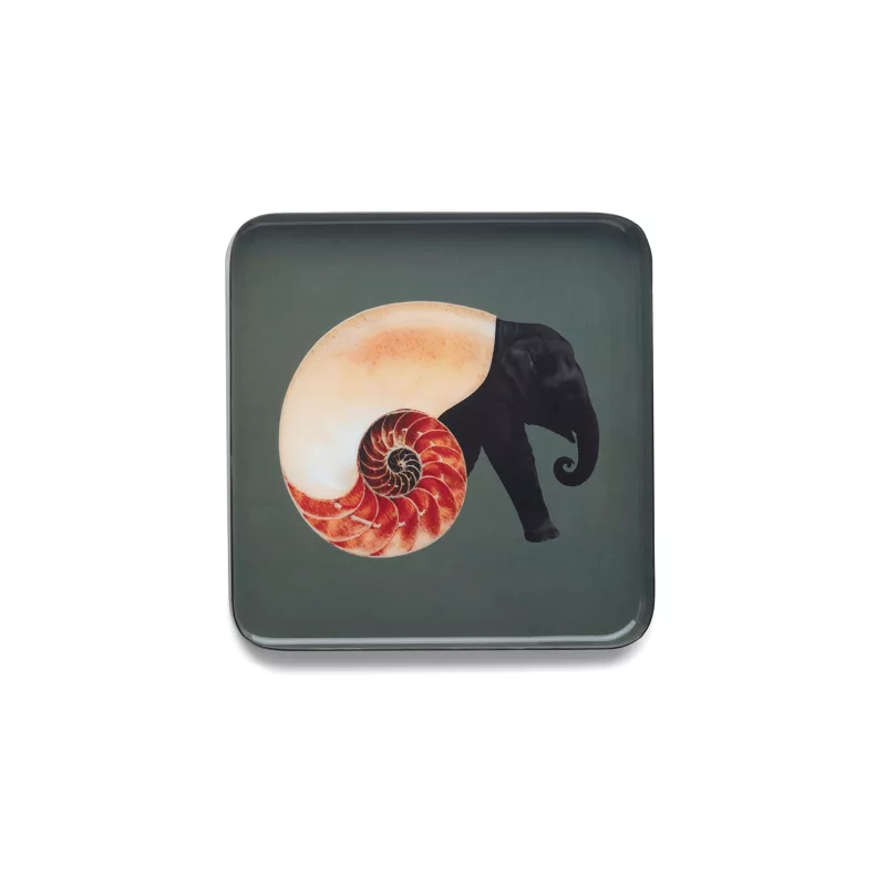 Vide-poche Shellephant - Gangzaï
