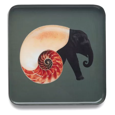 Vide-poche Shellephant - Achat en ligne - Jaines