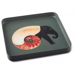 Vide-poche Shellephant - Gangzaï