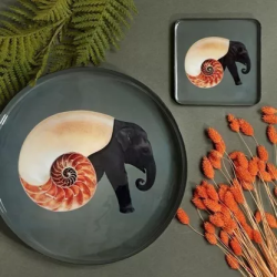 Vide-poche Shellephant - Gangzaï