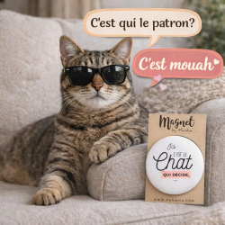 Magnet Ici c'est le Chat qui Décide - Achat en ligne - Manahia