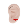 Gomme Parfumée - Ear We Go Again - Legami - Achat en ligne - Jaines